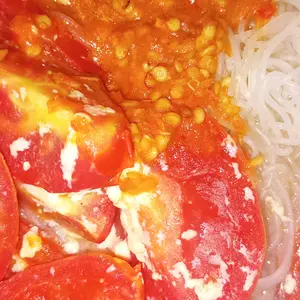 niendou Pressure Sprayer 1L / 2L / 3L mengentalkan Botol Spray Semprotan Pompa Manual