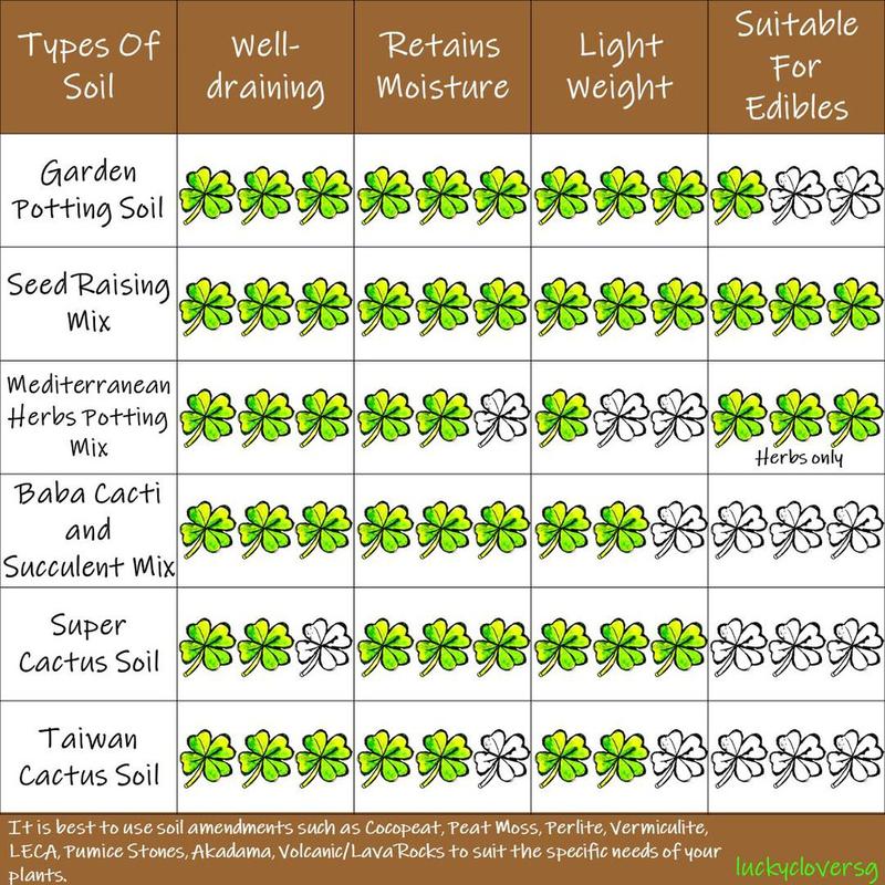 [2L, 4L] Vermiculite For Planting / Gardening / Mixing Into Soil 3