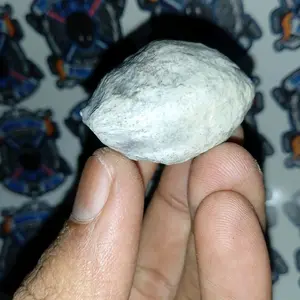 Muncang adu nyonyo muji super original