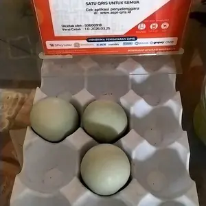 Telur Asin fresh 10 Butir Ukuran Kecil BK dengan Bubble Wrap dan Kardus Gratis