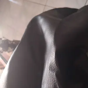 Sarung Jok Motor Kulit Amplas Jeruk Premium Anti Cakar Kucing Langsung Pakai Cocok Semua Jenis Motor Motorcycle