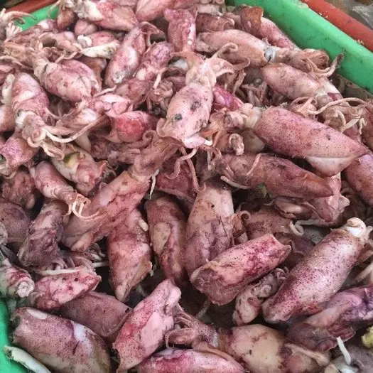 cumi asin telur tanpa bahan pengawet 100 gram