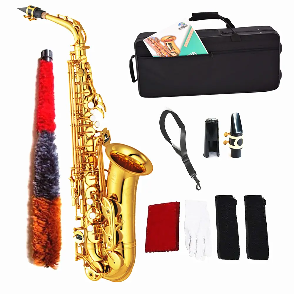 Complete saxophone kit, student only saxophone