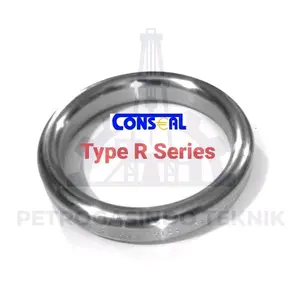 CONSEAL Ring Joint Gasket R-45 / R45 Oval CS LCS SS316