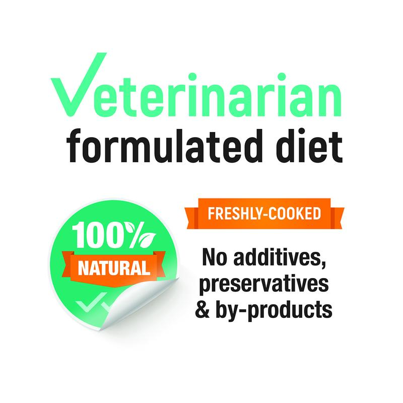 Product Introduction of Kangaroo & Oat Fresh Dog Food 0