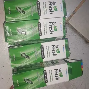 [ 1 KOTAK ISI 6 BOTOL] PAKET RESELLER SO FRESH MINYAK ANGIN AROMATHERAPY