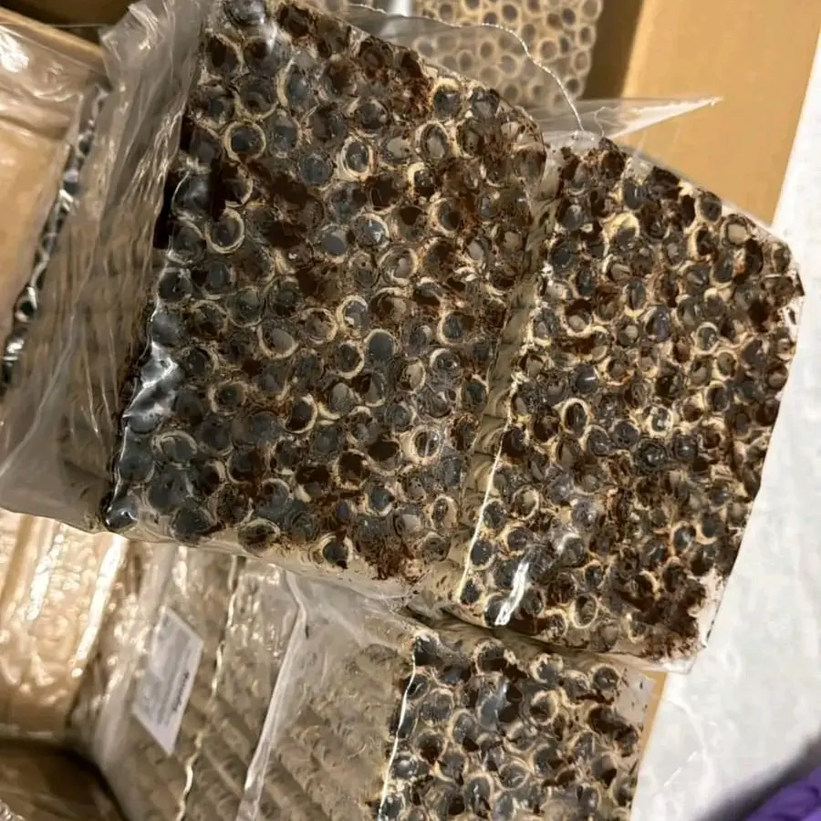 Rolla astor viral- isian tebel lumer(1kg)