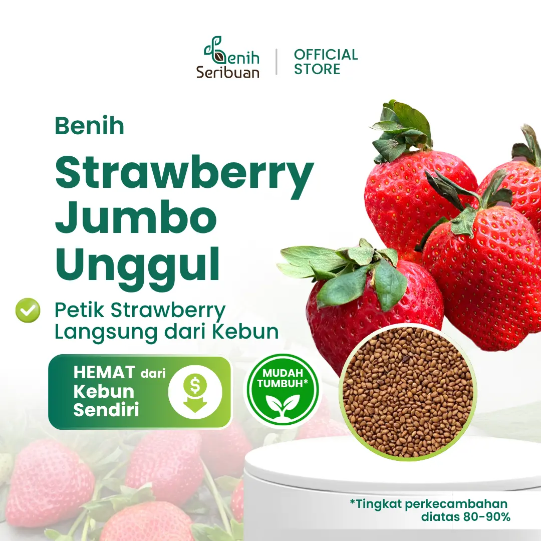 10 Benih Bibit Strawberry Jumbo Tanaman Buah Stroberi California Besar Strawberry Giant Berry Unggul