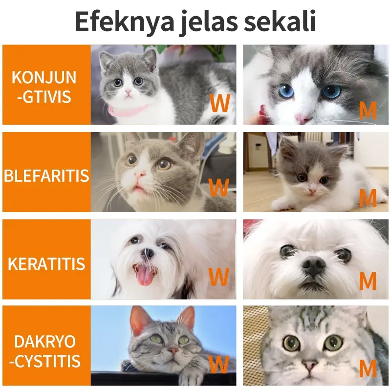 PUAINTA 8ml/botol Tetes Mata untuk Kucing dan Anjing Konjungtivitis Keratitis Mata Kemerahan dan Nanah di Mata 7