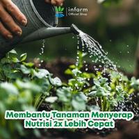 Gambar INFARM - Asam Amino Tanaman 100mL Booster Pertumbuhan, Top Score Asam Amino Atasi Daun Kuning & Tanaman Kerdil dari Infarm Kota Surabaya 4 Tokopedia