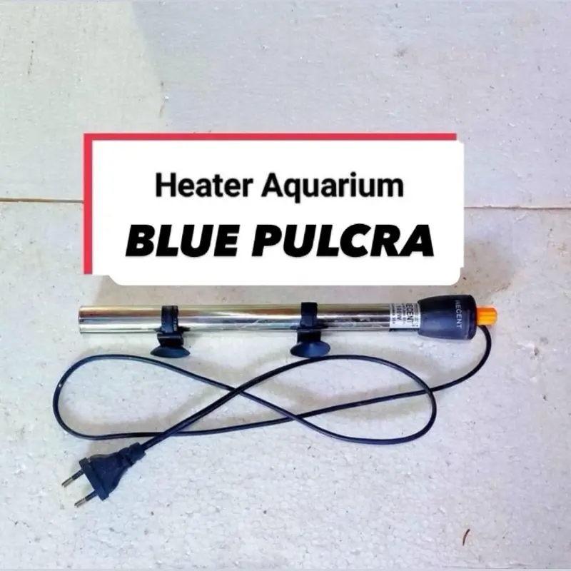 heater aquarium blue pulcra 9-10