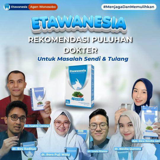 4 Box Etawanesia Susu Kambing Etawa Asli Original 100%