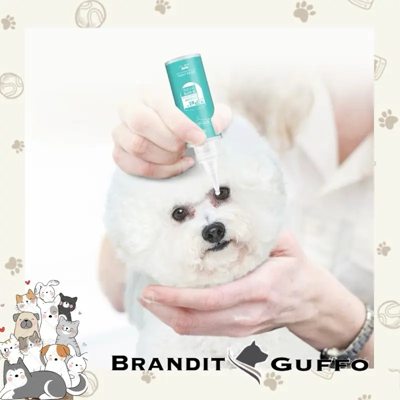 pet eye drops obat tetes mata kucing anjing luka katarak dog eye drop