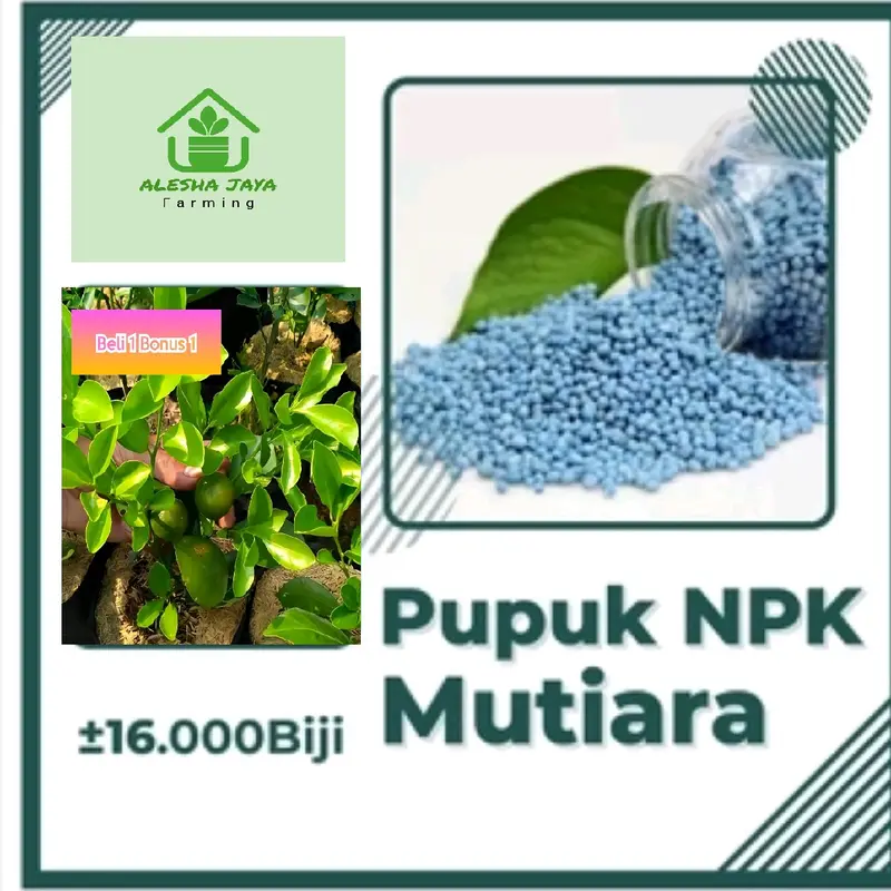 Pupuk Percepatan Tumbuhan ( Bibit Jeruk Kesturi Super) 0