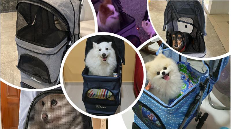 Product Introduction of Classic 3-Wheel pet Prams foldable washable light weight cheap multiple colours big compartment one step folding easy to move 44