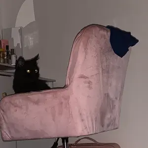 Etife Kursi / Kursi Putar / Kursi Rias / Kursi yang Dapat Disesuaikan / Kursi Belajar / Kursi Kosmetik / Kursi Gaya / Kursi Gaya Krim Italia / Kursi Berlapis