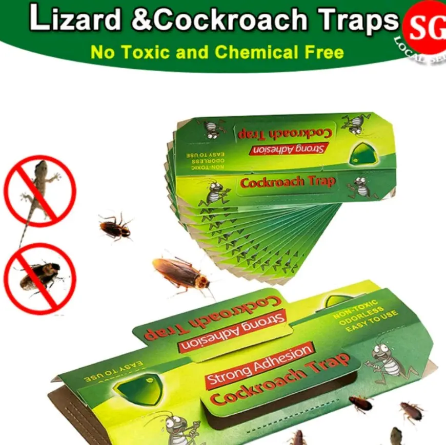 Lizard / Cockroach Trap with bait