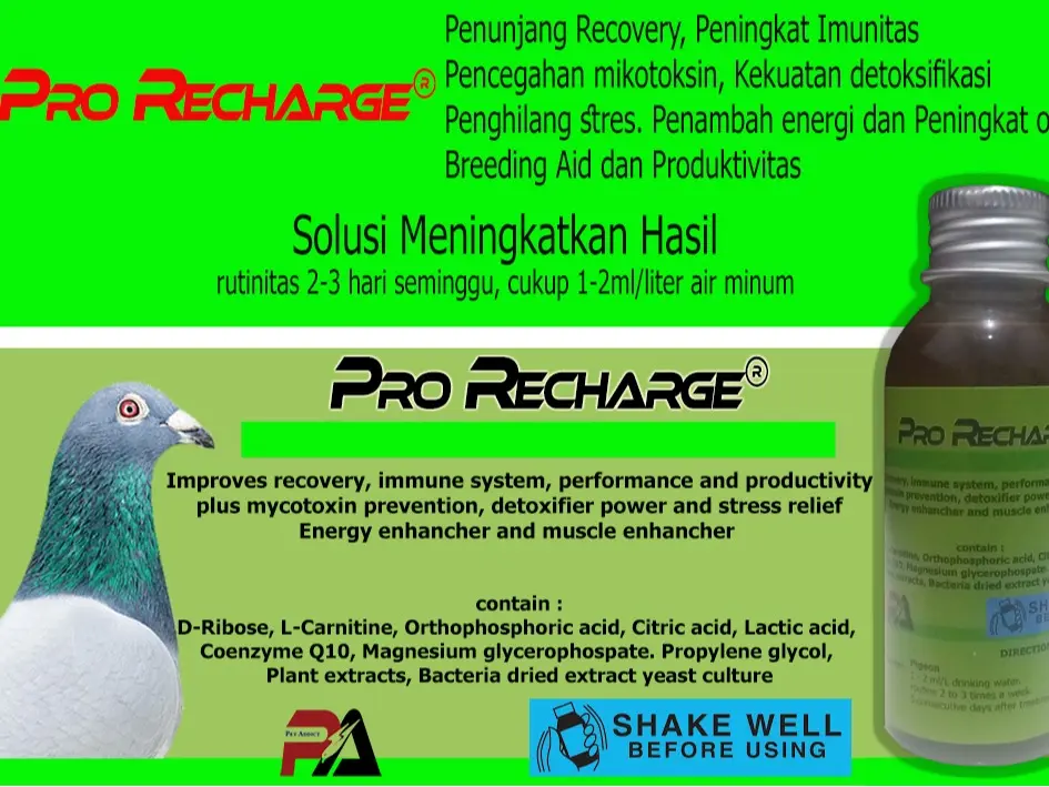 Pro Recharge doping merpati dan raptor  vitamin recovery supplement probiotik hewan