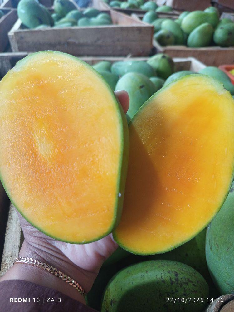 Mangga Harum Manis Tua Pohon Asli Probolinggo Buah