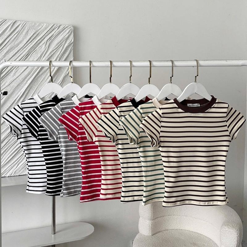 A172 XẢ KHO ÁO BO VIỀN CỔ TRÒN kẻ sọc viền chất cotton mịn form ôm body tôn dáng