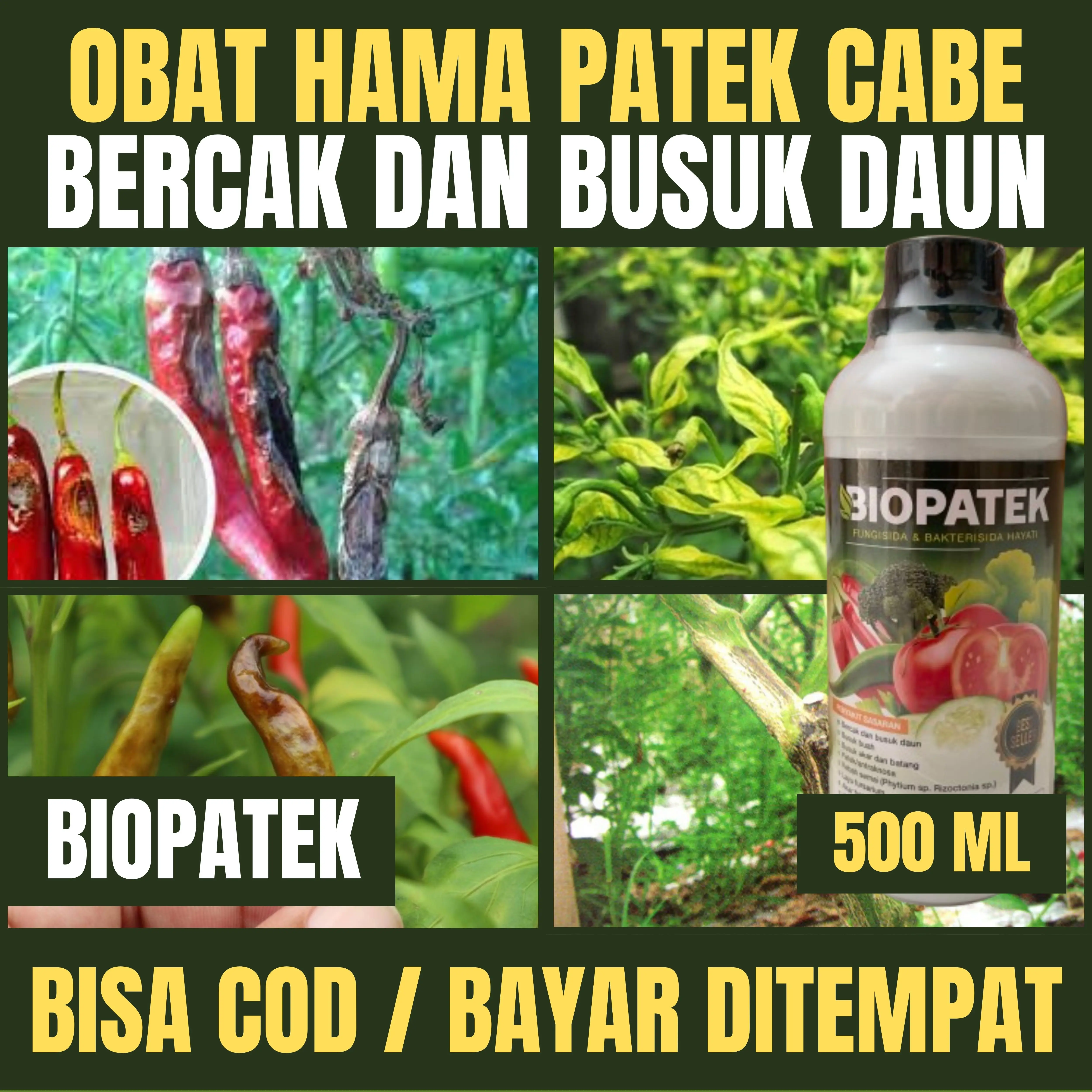 OBAT HAMA PATEK CABE Organik Terbaik 500ml BIOPATEK FUNGISIDA HAYATI Mengatasi Hama Patek Cabe dan Layu Fusarium Cabe, Obat Patek Cabe ORIGINAL Mengatasi Hama Patek Cabe AMPUH Isi 500ml Jamur Merah