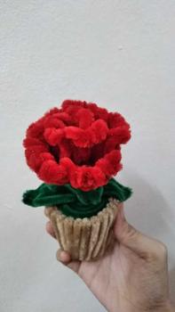 Product Review of (1pcs) Diameter 5cm Pasu Bunga Plastik Mini Berwarna-warni NP55 Berkebun Succulent Kaktus Flower Pot from z**2 0