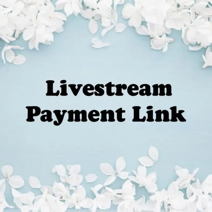 Silver Bracelet Charms Only  ( Livestream )