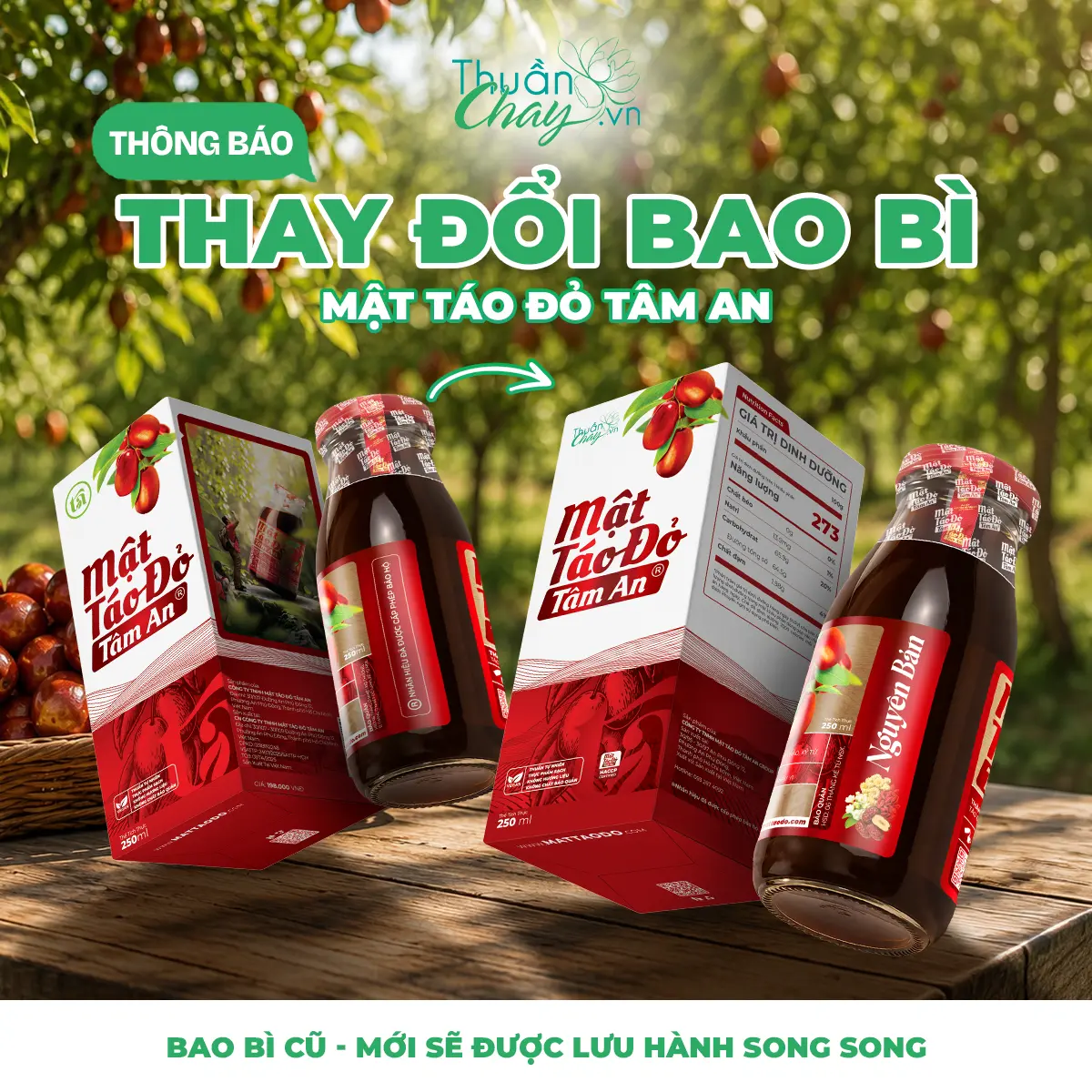 Mật Táo Đỏ Tâm An 250ml Tự nhiên - Táo đỏ, kỷ tử