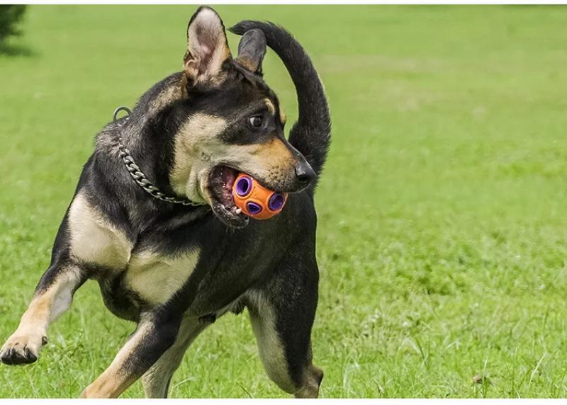 Product Introduction of Pet Toy Ball Ring Bite Resistant Sound Making Dog Toy Rubber Tooth Grinding Training Ball Pet Supplies Interactive Dog Toys 8