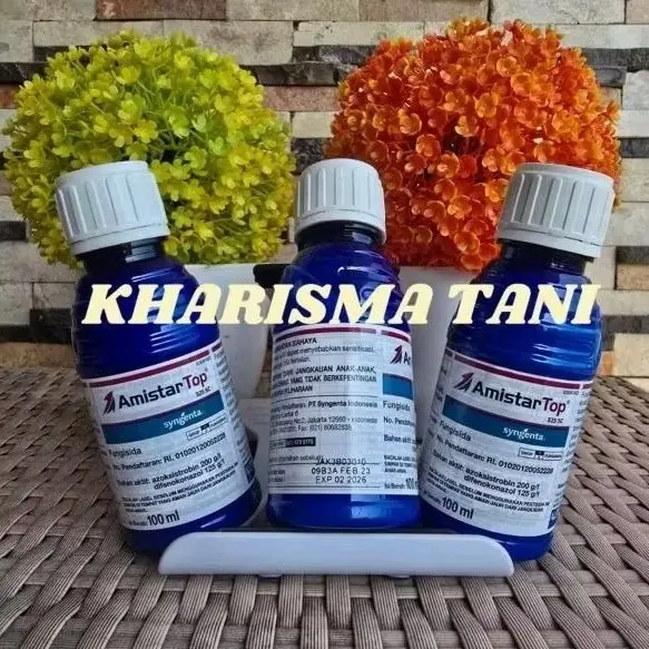 Fungisida Sistemik Amistartop 325sc 100ml untuk Mengendalikan Penyakit pada Tanaman