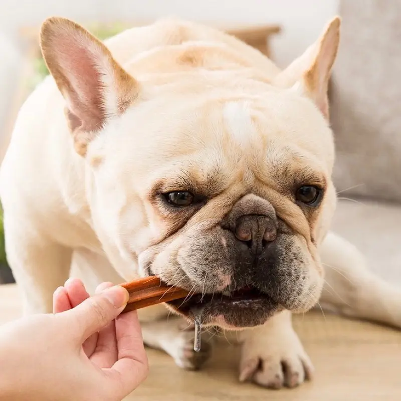210g My Dog Nutritional Dental Sticks (20+ sticks) Dentastix Dentastick Pet Dog Snack Pet Dog Treats 6
