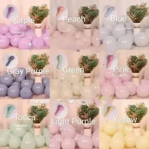 10 pcs Balon Latex / Lateks Macaron Size 5 inch