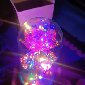 JAKI Lampu LED DIY Bunga Ruangan Kamar Glass Mawar Dekorasi Beauty And The Beast Rose | Hampers Pajangan Kado Hiasan