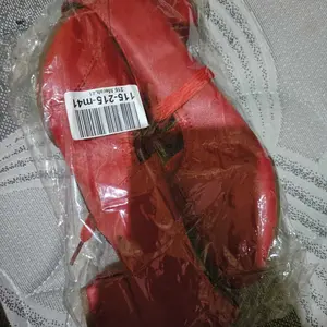Sepatu Heel Sepatu dance wanita Sepatu Wanita sepatu dans Sepatu Dansa Latin wanita Mid Heel (3-5 cm) Casual