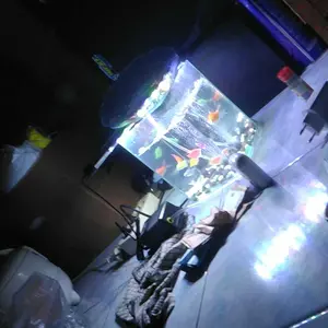 LAMPU CELUP AKUARIUM AQUARIUM AQUASCAPE MURAH 20CM 30CM 40CM 50CM 60CM 80CM 100CM