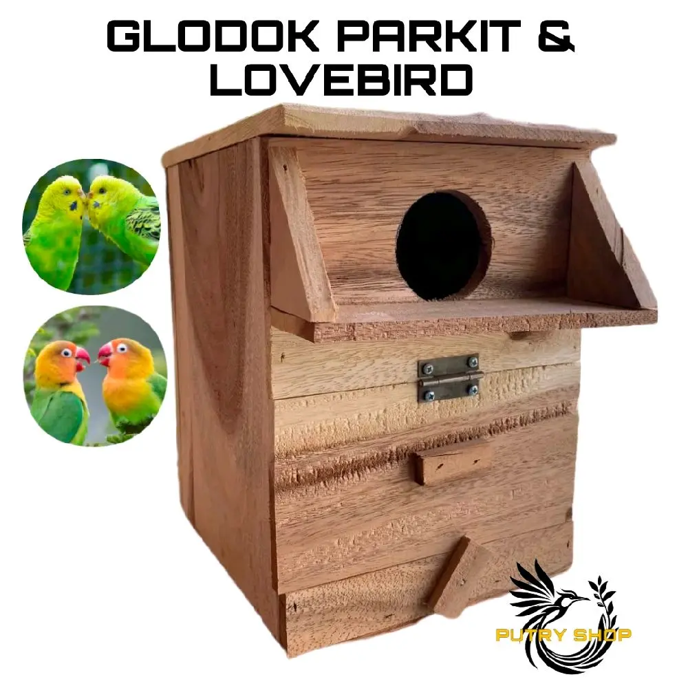 Glodok parkit dan lovebird model terbaru