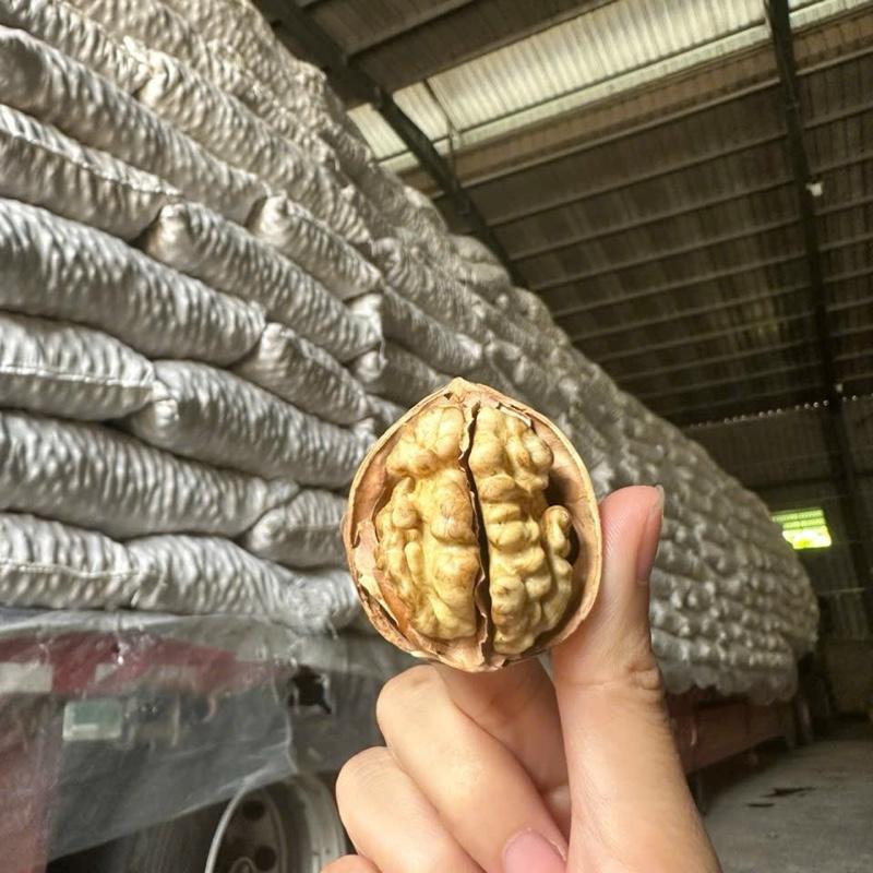  1kg quả óc chó giấy vỏ siêu mỏng tặng lẫy tách vỏ 1kg được 600gr nhân. 