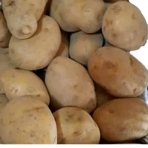 Kentang Dieng 1 Kg Isi Kurang Lebih 10-15an Kualitas Terbaik Untuk Masakan Anda