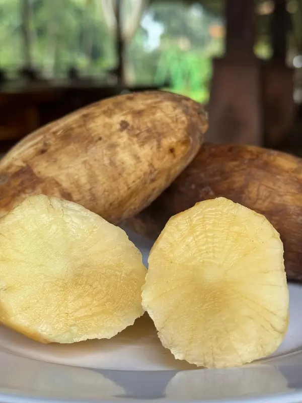 Ubi Yacon Asli Wonosobo SUPER (stok terbatas) 0