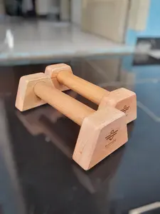 Mini Parallete Bar ActivePush up Bar untuk Latihan calisthenic