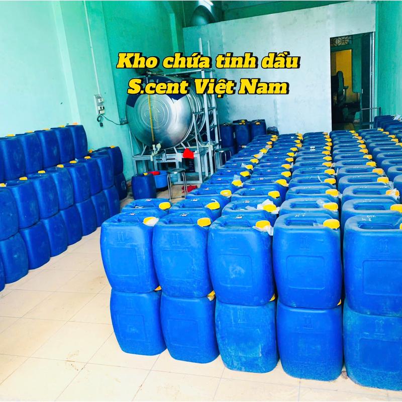 [NƯỚC HOA Ô TÔ] Nước hoa ô tô thiên nhiên cài cửa gió điều hòa- Hương Fresh ( Tươi mát) 7