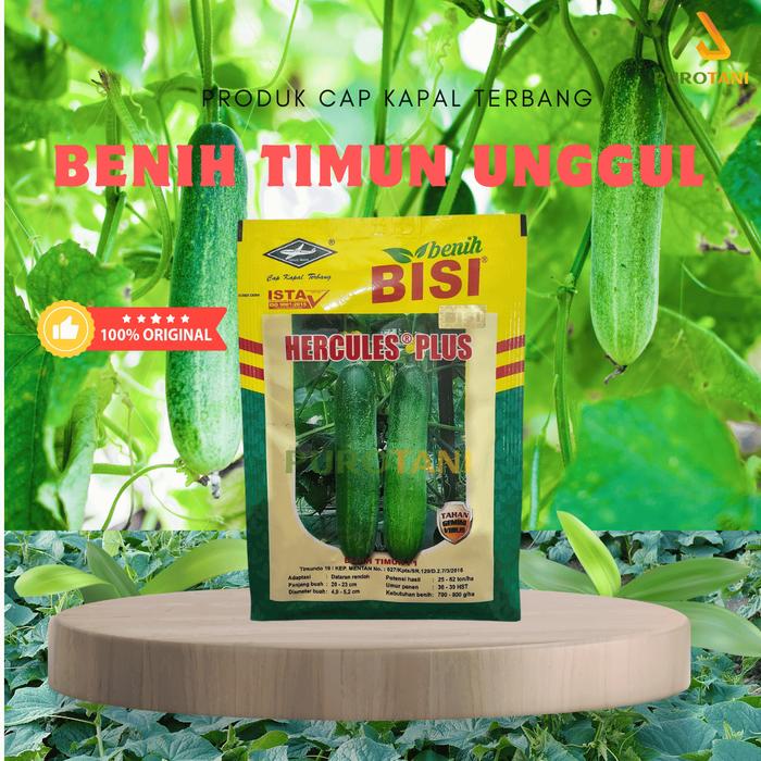 Gambar Benih Timun Hibrida F1 Hercules Plus Mentimun Hibrida F 1 Herkules Hijau dari PUROTANI.ID Kab. Purworejo Tokopedia