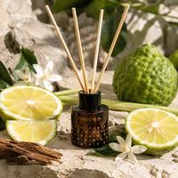 Gambar Reed Diffuser - Morning Haze Of Dieng Plateau by DariDaun dari DariDaun Kab. Tangerang 5 Tokopedia