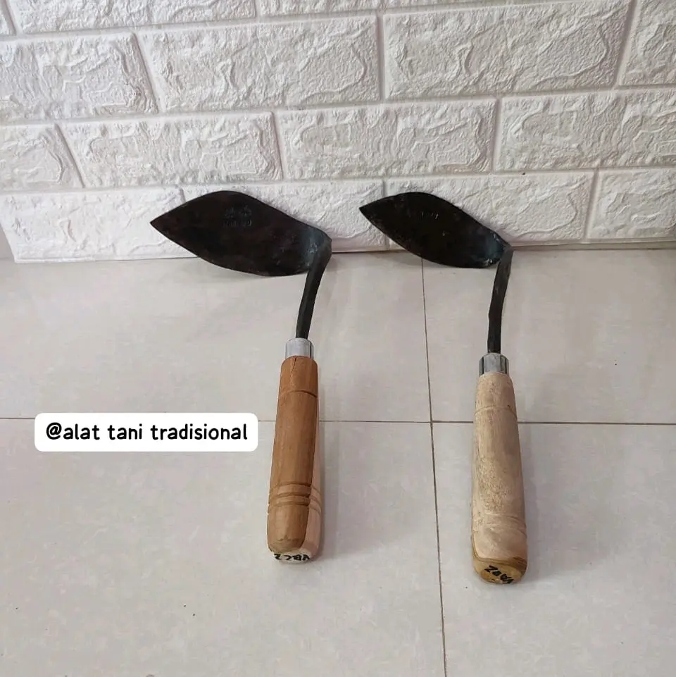 Pacul Pencong Miring Dengan Ukuran Kecil Dan Besar