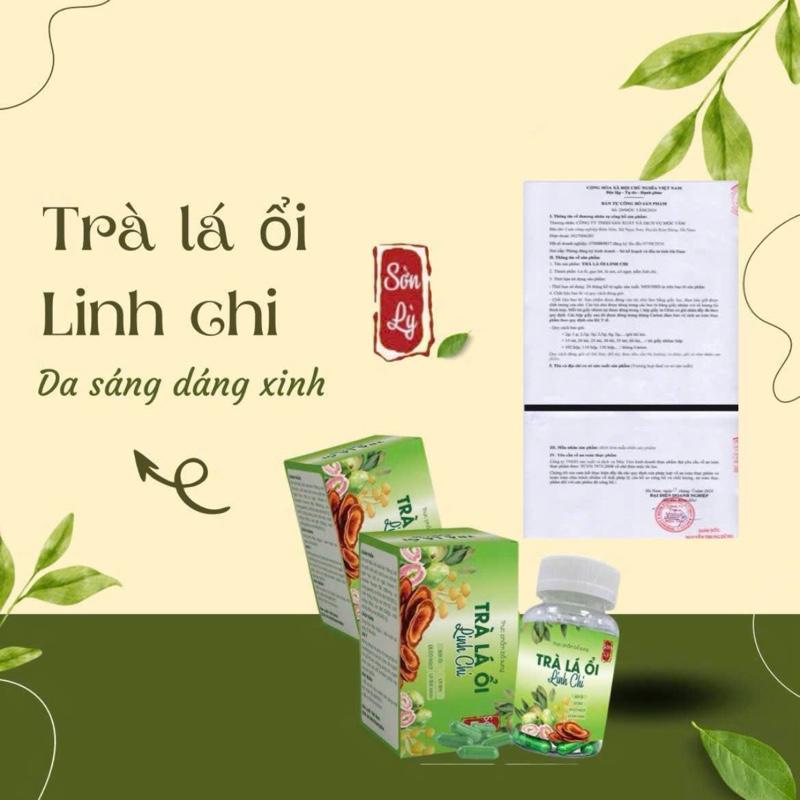 Viên uống Trà T,mộc Lá Ổi Linh Chi hỗ trợ bổ sung vitamin Ctea Thực phẩm bổ sung tea dưỡng nhan