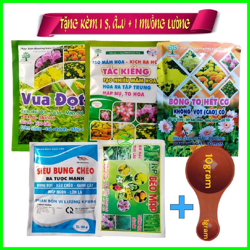 Ms06 Combo 5 gói phân bón cho hoa Tết 1 vua đọt 1 tmh 1 bông to hết cỡ 1 bung chèo 1 béo mập s,,â.u