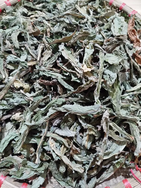 1kg Lá bồ công anh khô 1kg đặc sản Nam Định hỗ trợ Thanh nhiệt mát gan,tiêu u – dùng uống giải khát hàng ngày 5