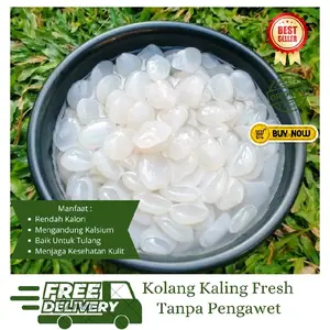 Kolang Kaling Segar 1kg-Kolang Kaling Fresh Asli Petani