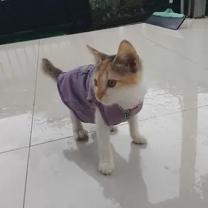 Baju kucing anjing cowok cewek lucu murah - Bukipet Venture Tank Series