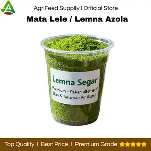 Mata Lele Tanaman Air Premium Per Cup - Mata Lele Lemna Per Cup - Mata Lele Aquascape Per Cup - Mata Lele Pakan  - Mata Lele Aquarium